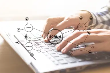 Product owner (responsable de produit numérique)