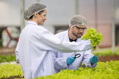 Technicien / Technicienne en expérimentation et production végétales