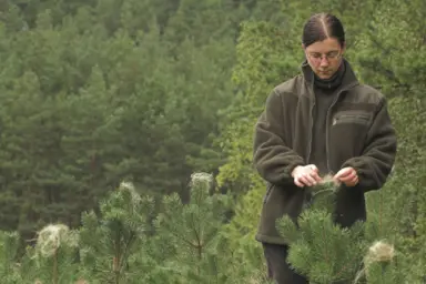 Chargé / Chargée d'études naturalistes