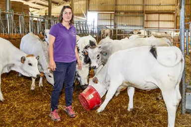 Responsable d'élevage agricole