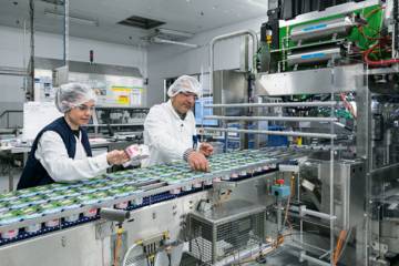 Contrôle qualité de yaourts de la marque "Les 2 vaches" au sein d'une usine Danone